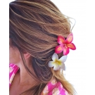 GANCHO DE CABELO FLOR TROPICAL