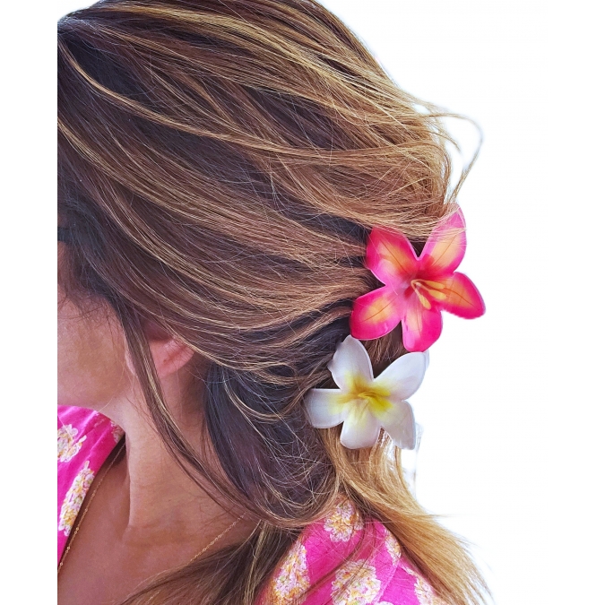 GANCHO DE CABELO FLOR TROPICAL