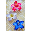 GANCHO DE CABELO FLOR TROPICAL