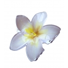 GANCHO DE CABELO FLOR TROPICAL