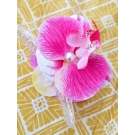 GANCHO ORQUÍDEA TROPICAL