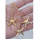 COLAR ESTRELA-DO-MAR XL