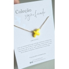 COILAR ANDORINHA